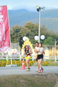 BIB: 
                            <button type="button" onclick="openModal(27851616)" class="btn btn-primary btn-sm float-right btn-popup" data-toggle="modal" data-target=".modal-high-quality">
                        <i class="fas fa-shopping-cart"></i> Add to Cart
                    </button>
                                            <button type="button" onclick="isThisMe(27851616, true)" class="btn btn-success btn-sm float-right btn-popup btn-isme hidden" data-toggle="tooltip" data-placement="bottom" title="นี่คือรูปของคุณใช่ไหม คลิกที่นี่เพื่อเอาเข้าอัลบั้ม">
                        <i class="fas fa-plus"></i> Add to album
                    </button>
                    <button type="button" onclick="isThisMe(27851616, false)" class="btn btn-warning btn-sm float-right btn-popup btn-isnotme hidden">
                        <i class="fas fa-ban"></i> Remove from album
                    </button>